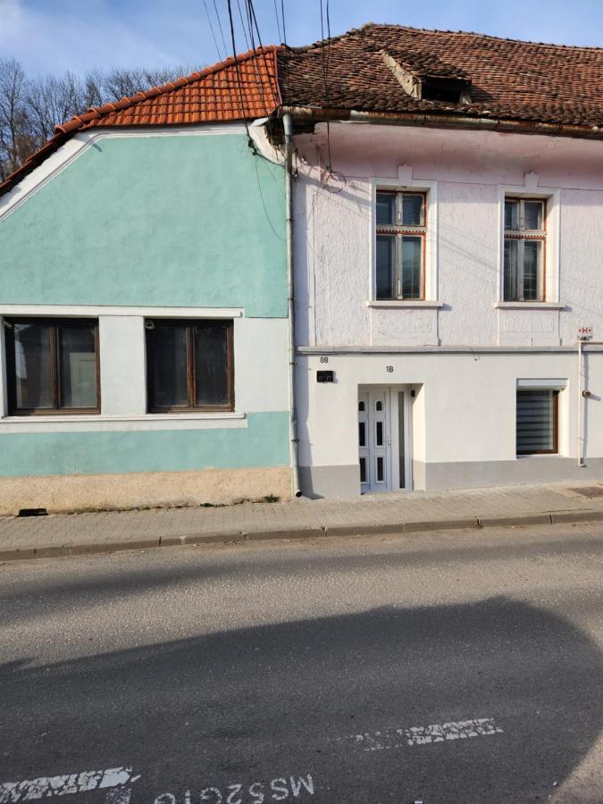 Apartament Dada Sighişoara Esterno foto