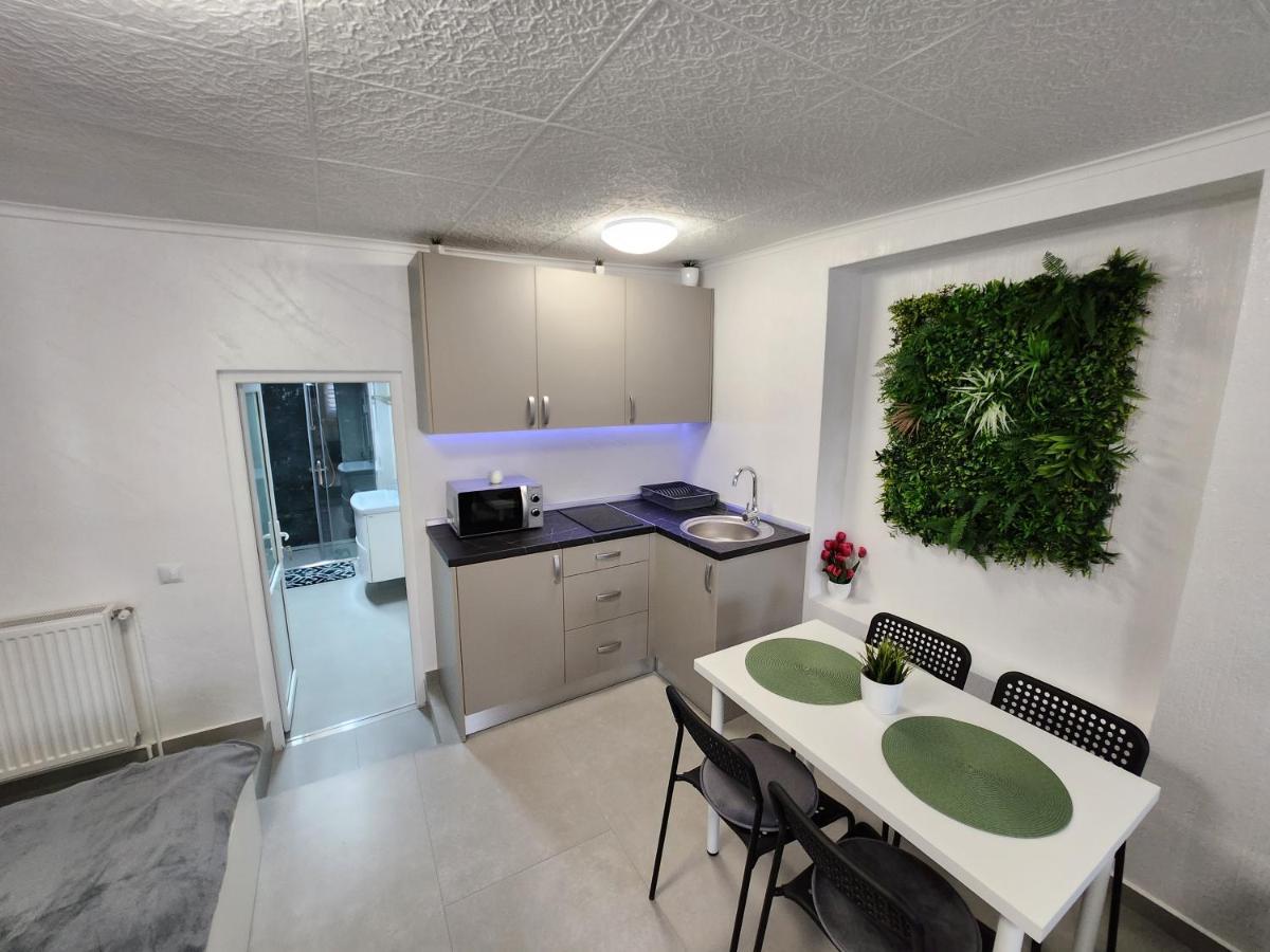 Apartament Dada Sighişoara Esterno foto